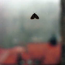 Μαρούσα Μαραβέλια - Φωτογραφίες Γάμων