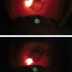 Μαρούσα Μαραβέλια - Φωτογραφίες Γάμων
