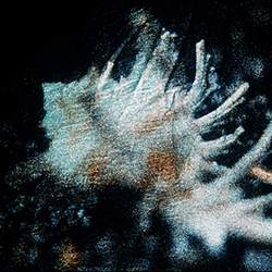 Μαρούσα Μαραβέλια - Φωτογραφίες Γάμων