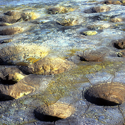 Μαρούσα Μαραβέλια - Φωτογραφίες Γάμων
