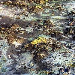 Μαρούσα Μαραβέλια - Φωτογραφίες Γάμων