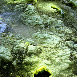 Μαρούσα Μαραβέλια - Φωτογραφίες Γάμων