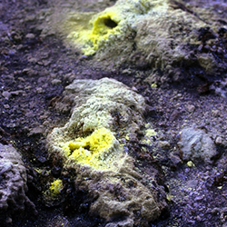 Μαρούσα Μαραβέλια - Φωτογραφίες Γάμων