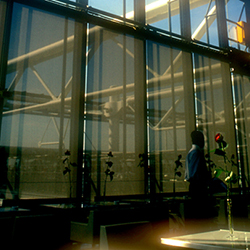 Μαρούσα Μαραβέλια - Φωτογραφίες Γάμων