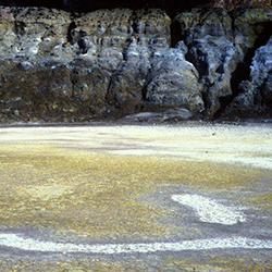 Μαρούσα Μαραβέλια - Φωτογραφίες Γάμων